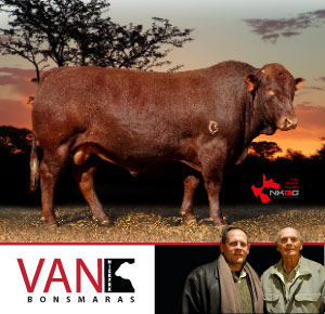 van niekerk bonsmaras joenaal ad